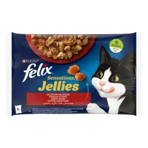 Pet Shop