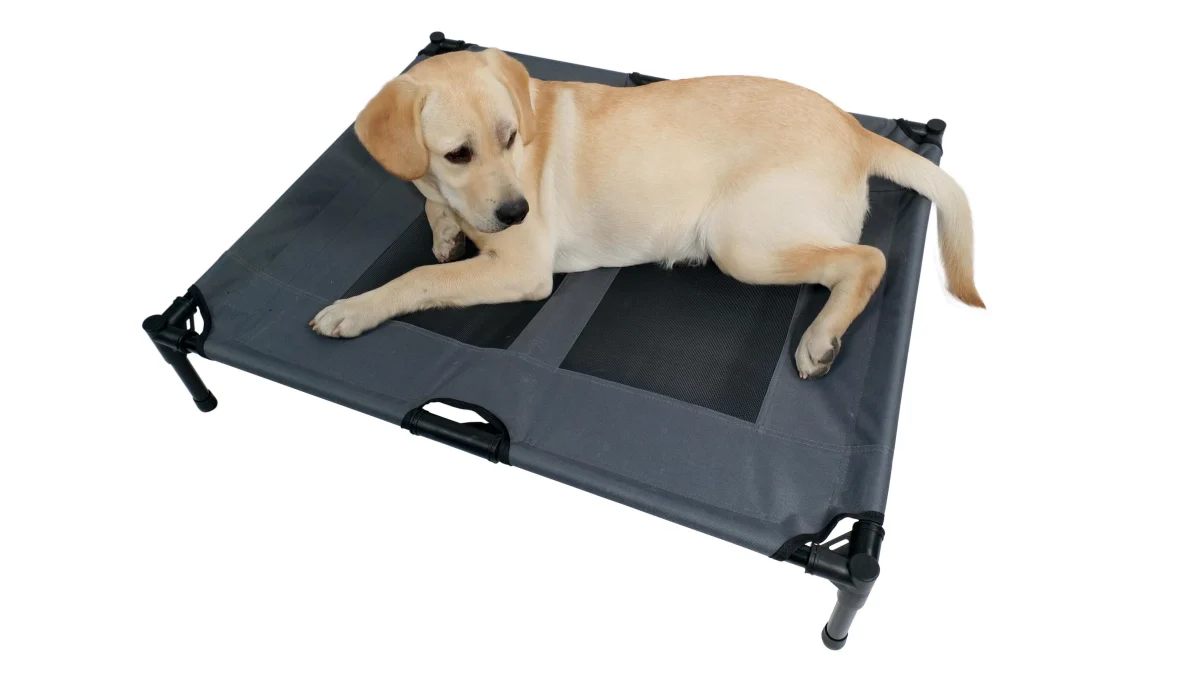 M-Pets Krevet ELEVANTED pet bad