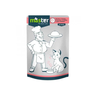 Master cat preliv 80g teletina u sosu